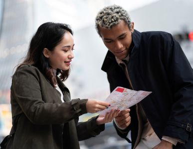 Travel Consultation Image 2